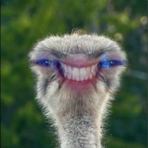 Meet your Posher, Chris